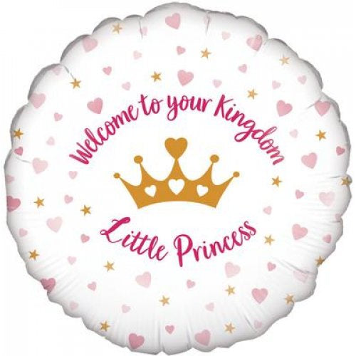 Welcome Little Princess